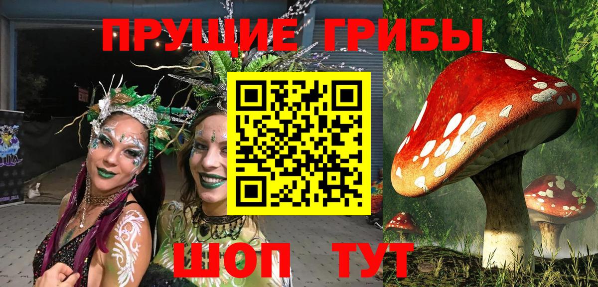 Псилоцибиновые грибы Cubensis Елизово