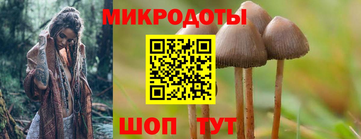 закладки  Вход с VPN  Галлюциногенные грибы MAGIC MUSHROOMS  Елизово  Псилоцибиновые грибы MAGIC MUSHROOMS 